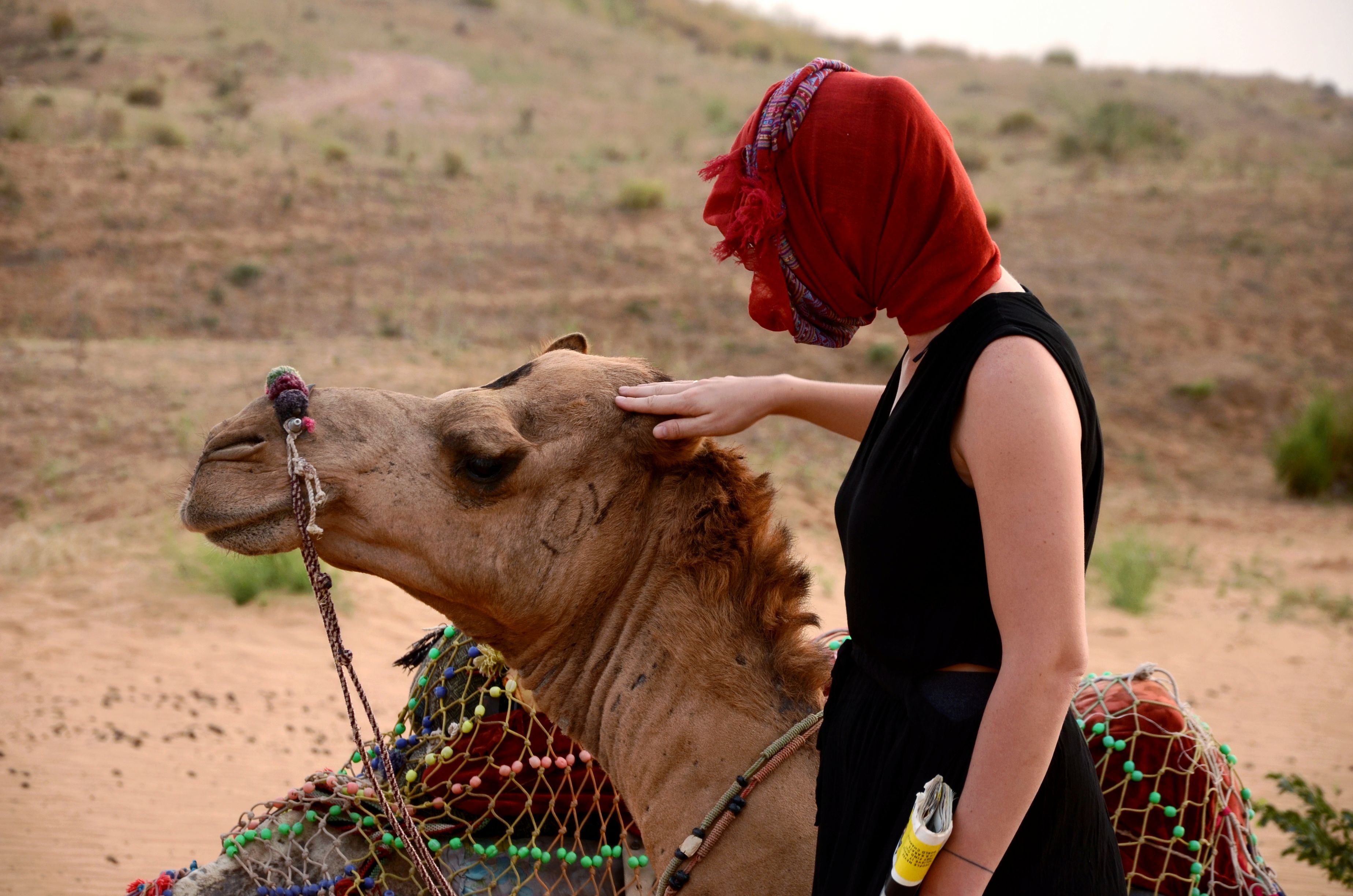 Page Travel Blogs Pushkar, Pushkar Adventure Desert Camp, Best Camp in Pushkar, Rajasthan Tourism, Pushkar Experiences